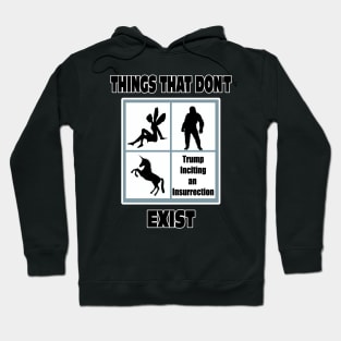 Things That Don't Exist Funny Political Humor Pro Trump Hoodie